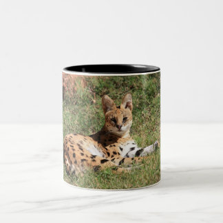 2 Couleurs Tasse de chat de Serval