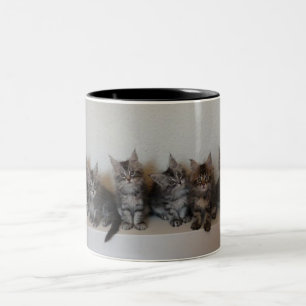 2 Couleurs Tasse de chatons de ragondin du Maine
