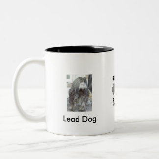 2 Couleurs Tasse de chien d'avance
