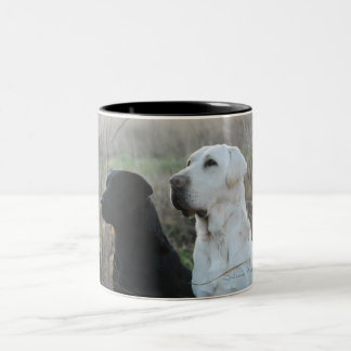 2 Couleurs Tasse de deux laboratoires