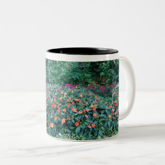 2 Couleurs Tasse de fleurs