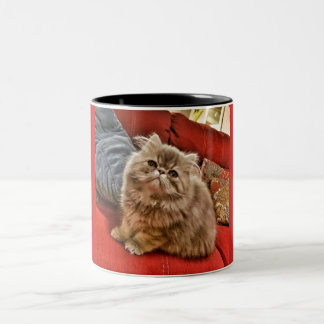 2 Couleurs Tasse de Kitty de Persan
