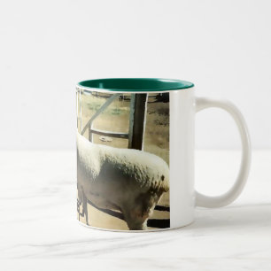 2 Couleurs Tasse de moutons