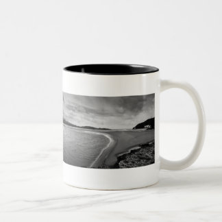 2 Couleurs Tasse de panorama de Portmeirion