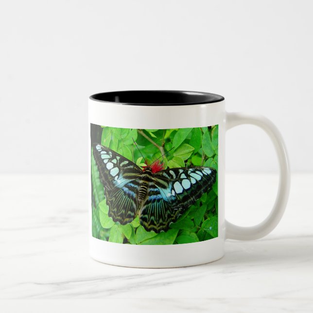 2 Couleurs Tasse de papillon (Droit)