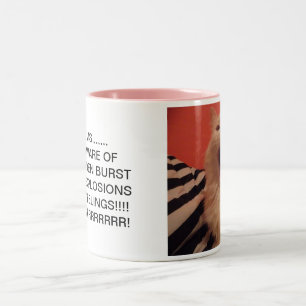 2 COULEURS TASSE DE PMS