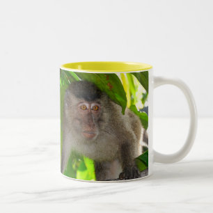 2 Couleurs Tasse de singes de Macaque