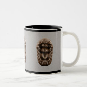 2 Couleurs Tasse de Trilobite