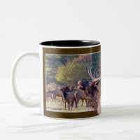 Tasse de troupeau d'élans
