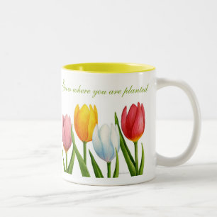 2 Couleurs Tasse de tulipe de ressort