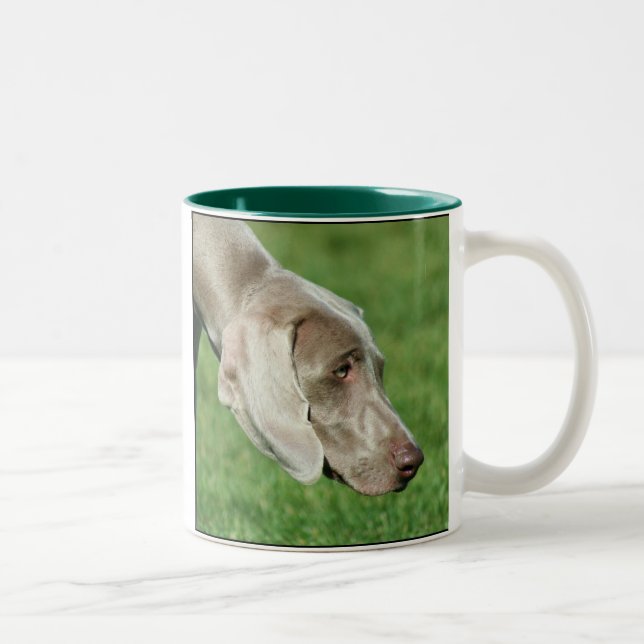2 Couleurs Tasse de Weimaraner (Droit)