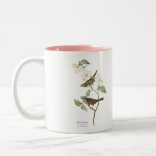 2 Couleurs Tasse d'oiseau d'Audubon, moineau Blanc-Throated,