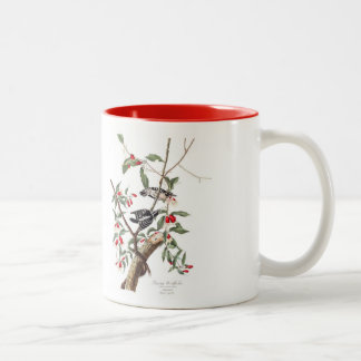 2 Couleurs Tasse d'oiseau d'Audubon, pivert duveteux, 15