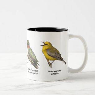 2 Couleurs Tasse d'oiseaux