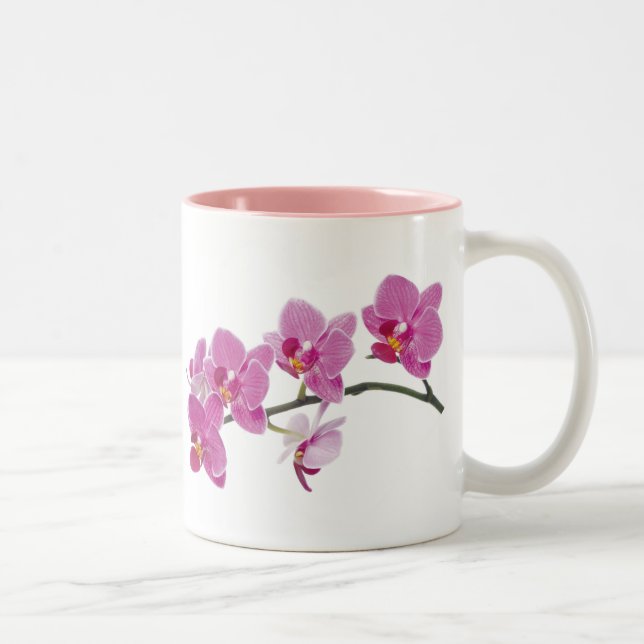 2 COULEURS TASSE D'ORCHIDÉE (Droit)