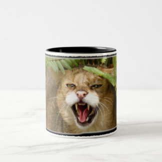 2 Couleurs TASSE du chat de jungle 01