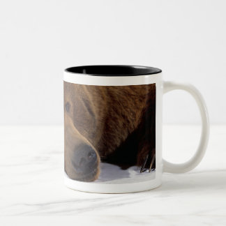2 Couleurs Tasse grisonnante d'ours