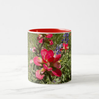 2 Couleurs Tasse Indian Paintbrush