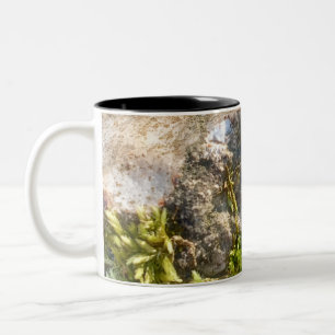 2 Couleurs Tasse Moss Rock 