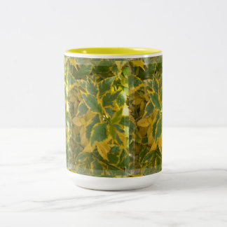2 Couleurs Tasse Rmdesignflo55-27