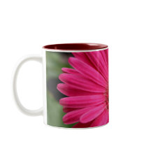 Tasse rose de marguerite de Gerbera
