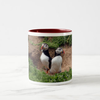 2 Couleurs Trouvez votre tasse parfaite de macareux de match