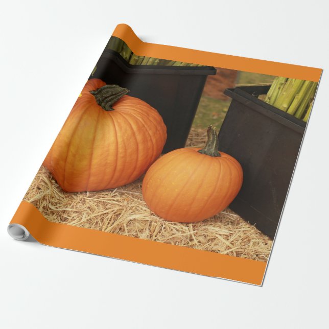 2 country pumpkin wrapping paper (Unrolled)