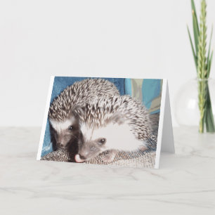 2 cute hedgehogs card