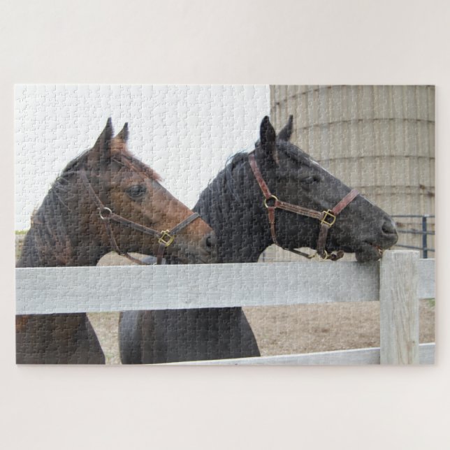 2 Cute Horses Looking over a Fence Jigsaw Puzzle (Horizontal)