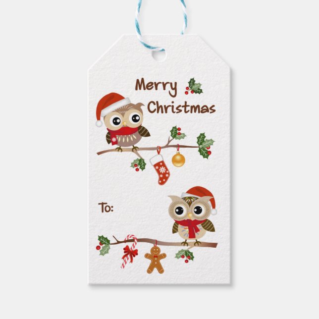 2 Cute Owls Merry Christmas Gift Tags (Front)