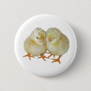 2 Cute Yellow Basque Chicks 2 Inch Round Button