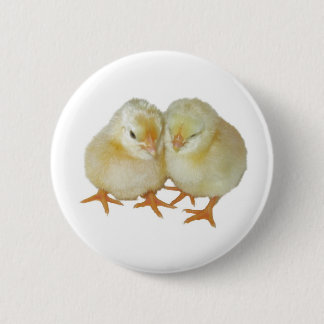 2 Cute Yellow Basque Chicks 2 Inch Round Button