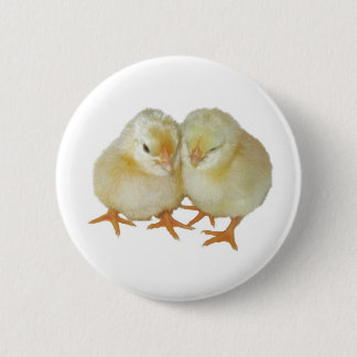 2 Cute Yellow Basque Chicks Inch Round Button