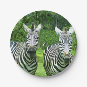 2 Cute Zebras Paper Plate