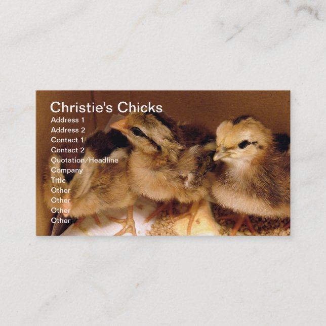 2-day-old Chicks, Christie's Chicks Business Card (Front)