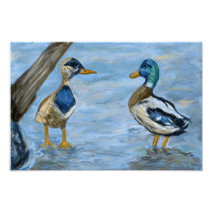 2 Ducks in A Conversation_0185_n400_tele  Photo Print