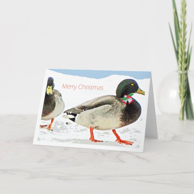 2 ducks w bells n holly copy-Christmas Humour Holiday Card (Front)