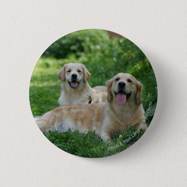 2 Golden Retrievers Laying in Grass Inch Round Button (Front)