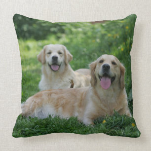 2 Golden Retrievers Laying in Grass Throw Pillow