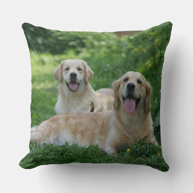2 Golden Retrievers Laying in Grass Throw Pillow (Front)