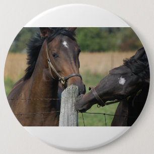 2 Horses Chewing a Fence Post 6 Inch Round Button
