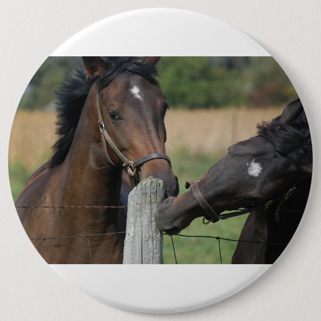 2 Horses Chewing a Fence Post 6 Inch Round Button (Front)
