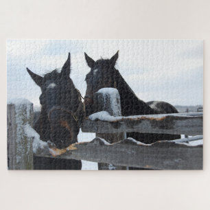 2 Horses Chewing on a Fence Jigsaw Puzzle