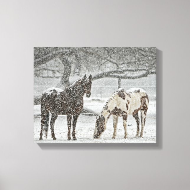 2 Horses Outside in Winter during Snowy Weather Canvas Print (Front)