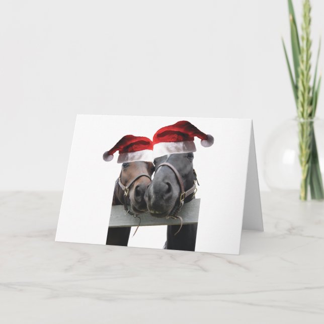 2 horses wearing Santa Claus Hats Card (Front)