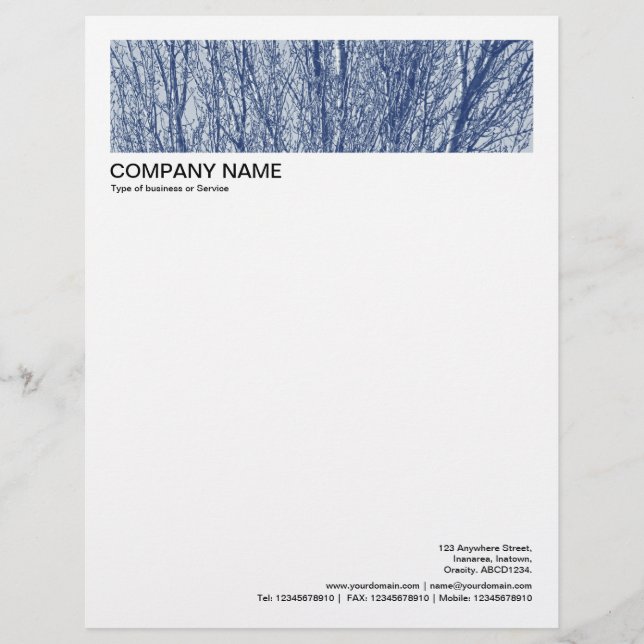 2 in Header 1/2 Inch Border - Birch Branches 02 Letterhead (Front)