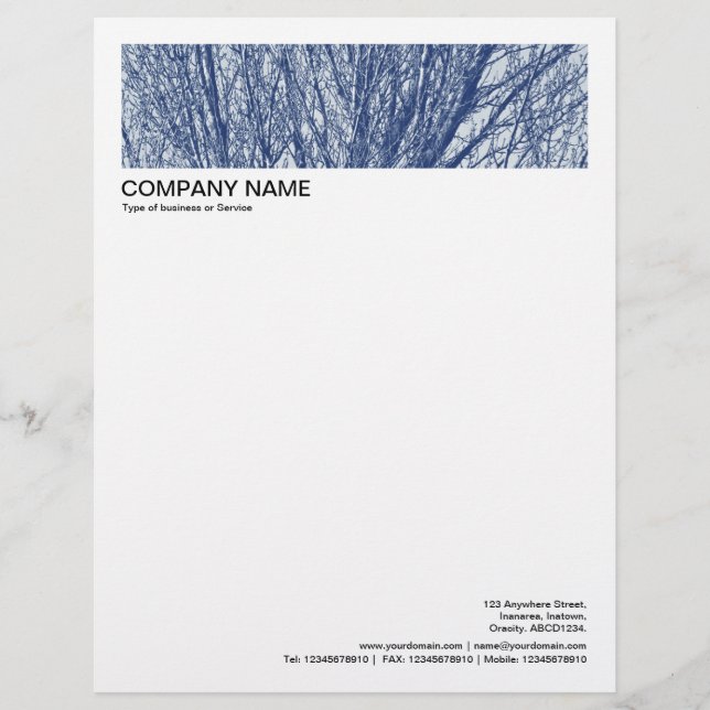 2 in Header 1/2 Inch Border - Birch Branches Letterhead (Front)