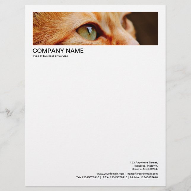 2 in Header 1/2 Inch Border - Cat Letterhead (Front)