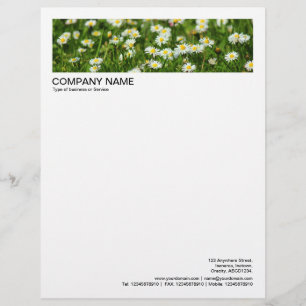 2 in Header 1/2 Inch Border - Daisies and Grass Letterhead