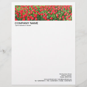 2 in Header 1/2 Inch Border - Red Tulips Letterhead